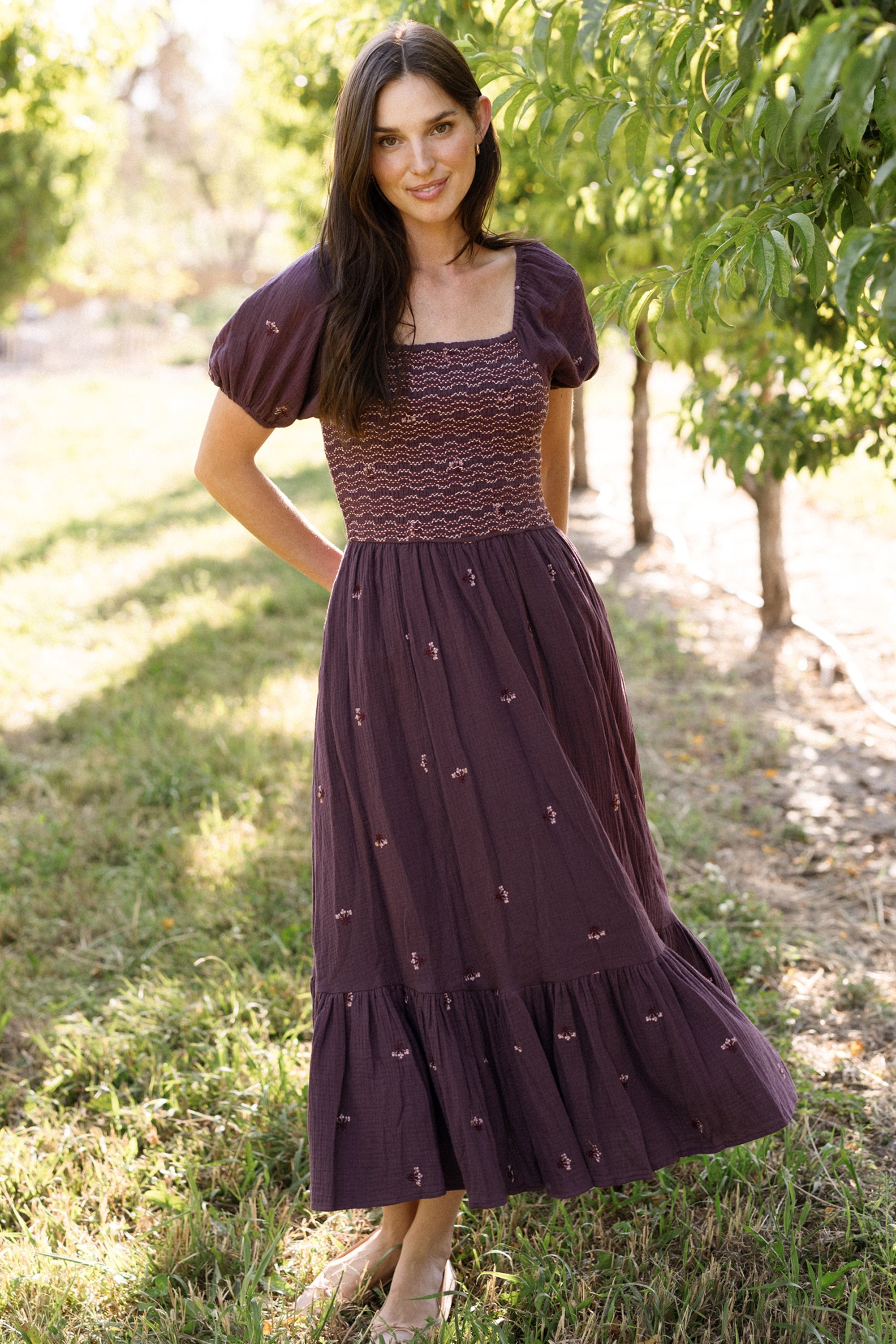 Acantha Dress in Aubergine Embroidered Gauze