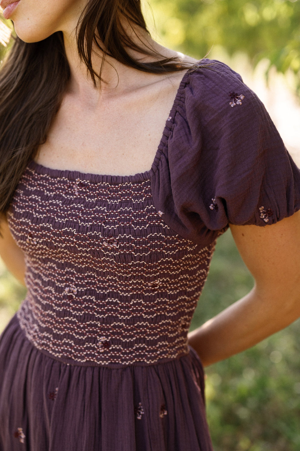 Acantha Dress in Aubergine Embroidered Gauze