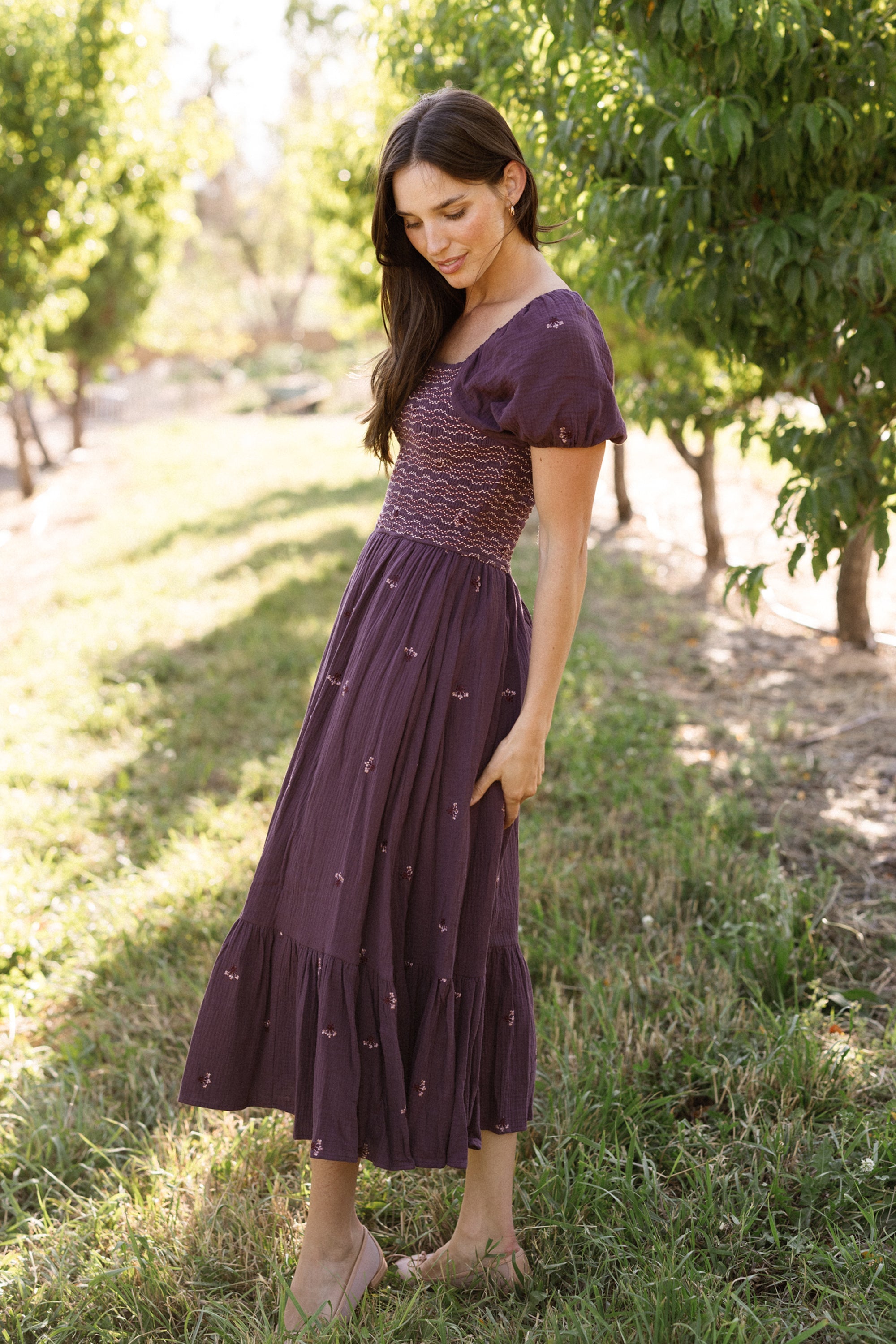 Acantha Dress in Aubergine Embroidered Gauze