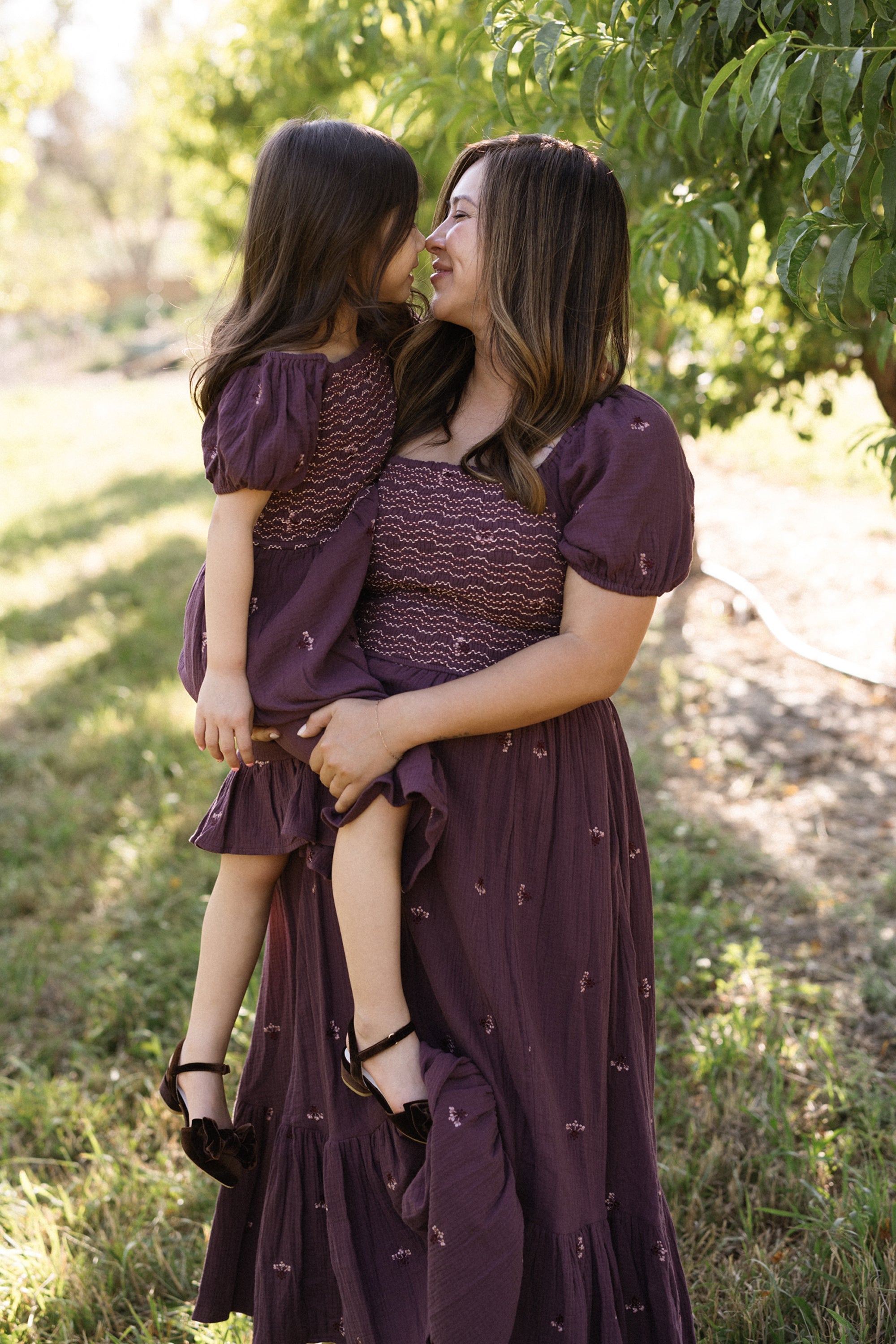 Acantha Dress in Aubergine Embroidered Gauze