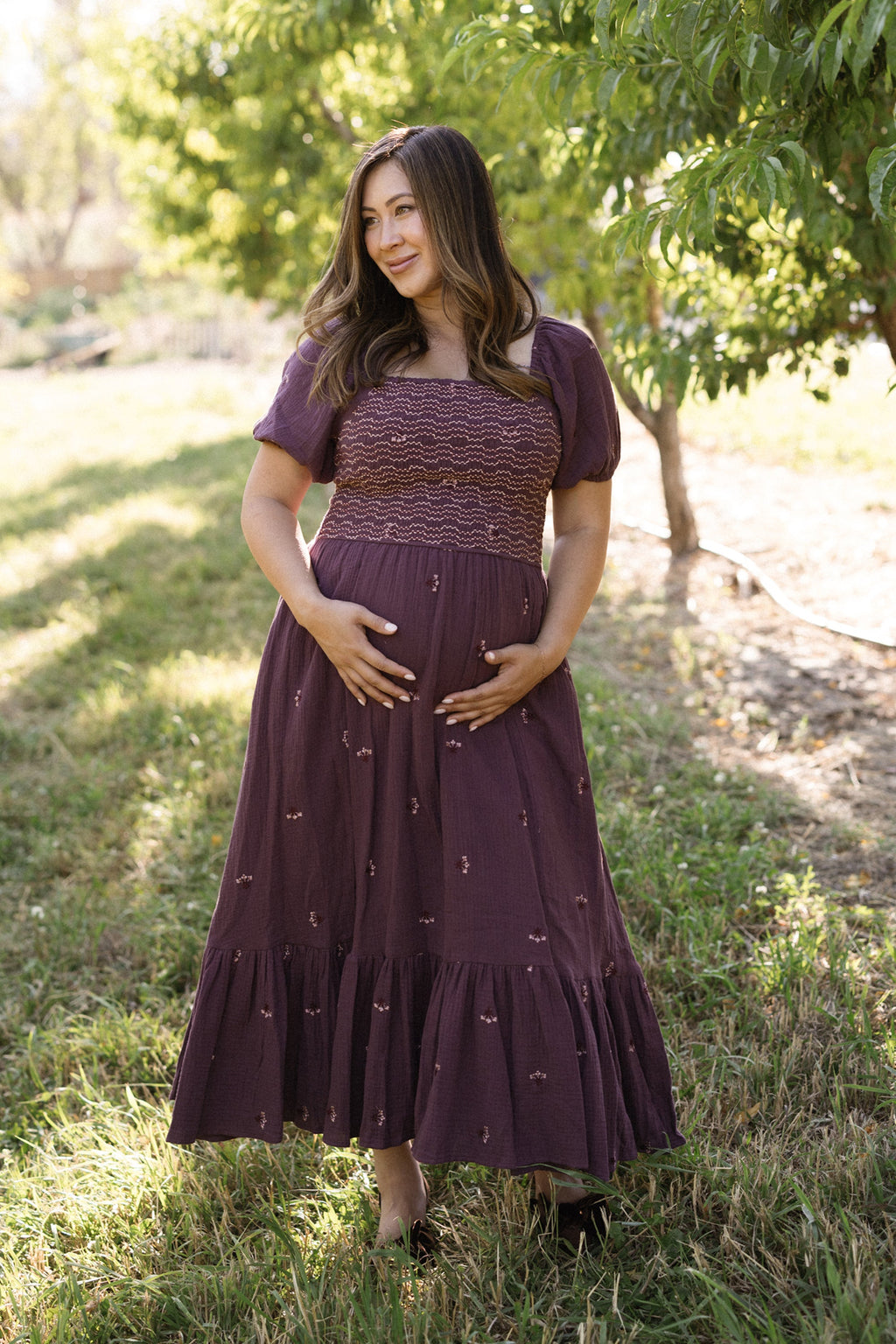 Acantha Dress in Aubergine Embroidered Gauze