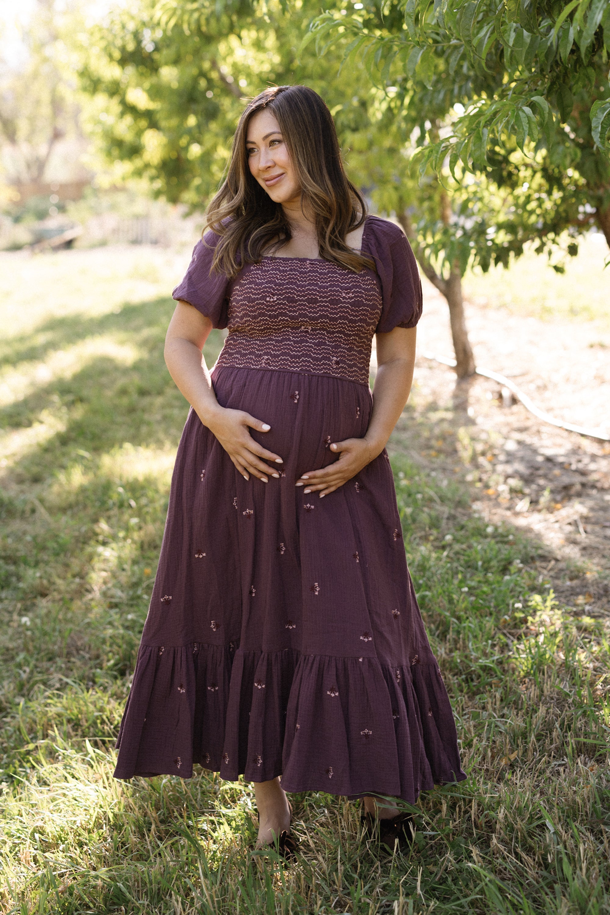 Acantha Dress in Aubergine Embroidered Gauze