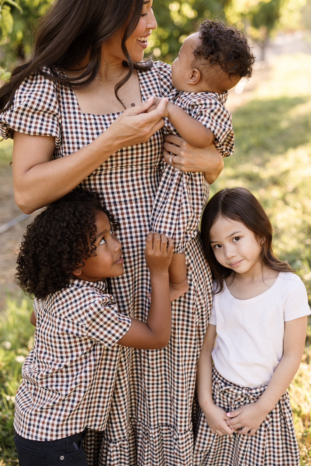 Connie Short Sleeve Dress in Chestnut Gingham